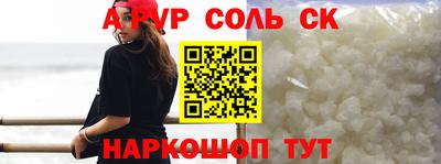 индика Новодвинск